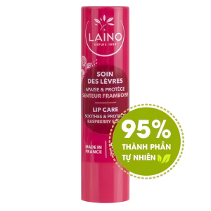 SON DƯỠNG MÔI CÓ MÀU HƯƠNG MÂM XÔI