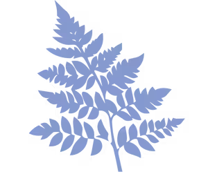 Lá
